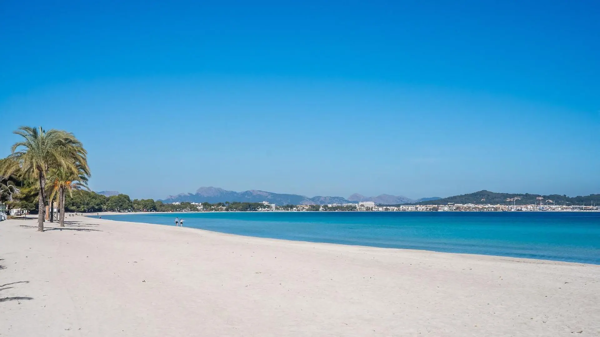 Ideal Property Mallorca - Casa Pinar contacts